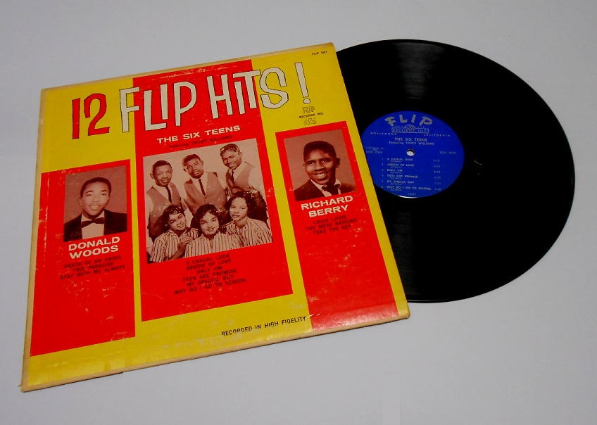 Flip-1001 - 12 Flip Hits!