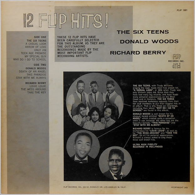 Flip-1001 - 12 Flip Hits! Back Cover